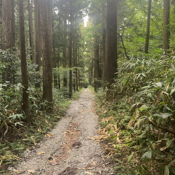 直進で駐車場