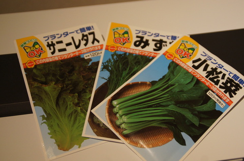 もちろん市販の種でOK