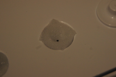 トレイを少し押して種が浮くことを確認