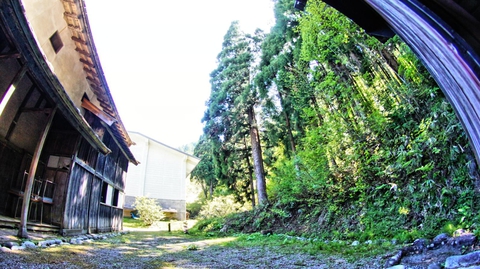 裏の縁側からの風景