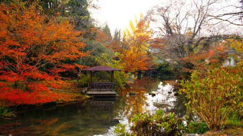 庭園の景観
