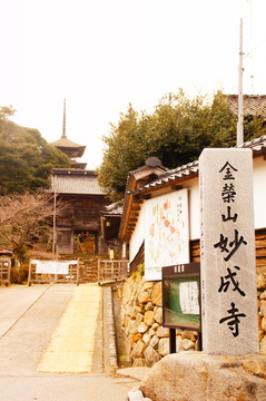 受付から仁王門と五重塔