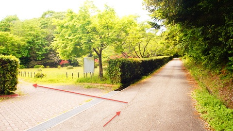 庭園