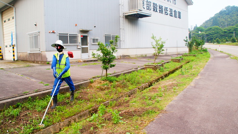 湯涌ゆず街道のかかし達