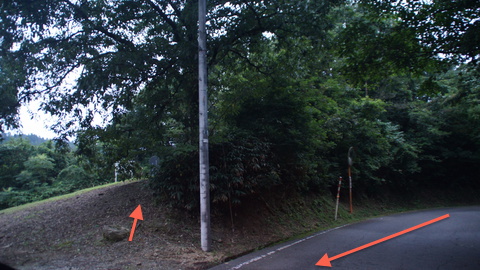 泉陽の像は見落としやすいので注意