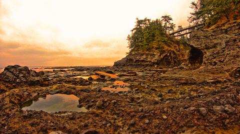 千畳敷岩と幸せのがんもん橋