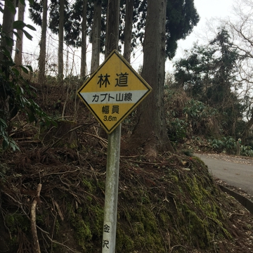 林道カブト山線に入る