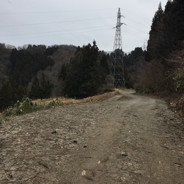 造林作業線兜山線手前新内川第2線17。車が入れればここからスタートでもよい