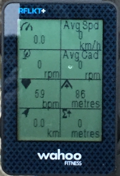 試しに8カラム設定にしてみた。ちょっと文字が小さいか