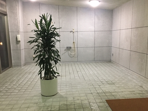 超巨大なシャワールームでVIP気分