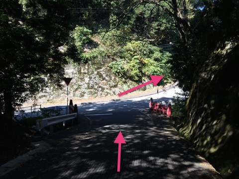 ごぜんばしを渡り右へ
