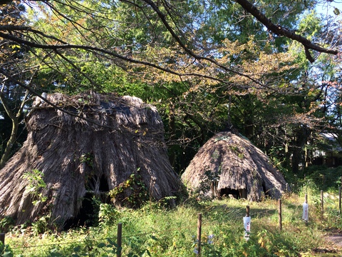 舟岡縄文遺跡