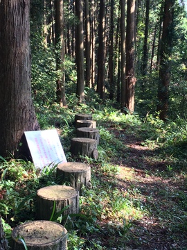 展望所が見えてくる
