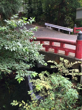 ごぜんばしを渡り白山本宮へ