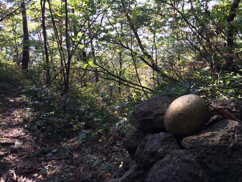 不思議な金色の石