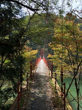 手すりの低い高度感のある吊り橋を渡る