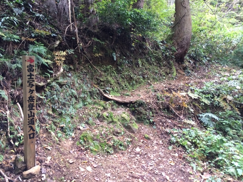 最初の分岐。上方へ