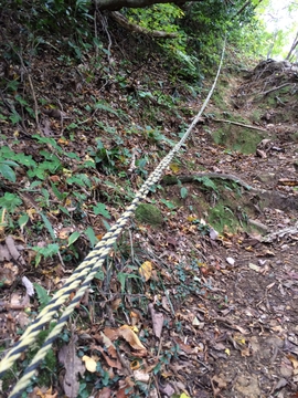 急な登坂のところどころにロープ