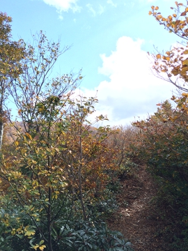 661m地点をこえると視界は開ける