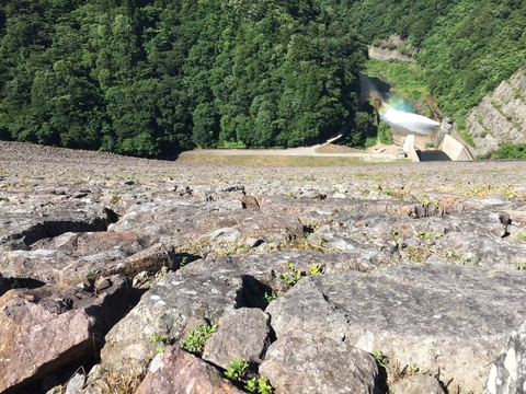 ロックフィルの岩は除草剤は決して使えない
