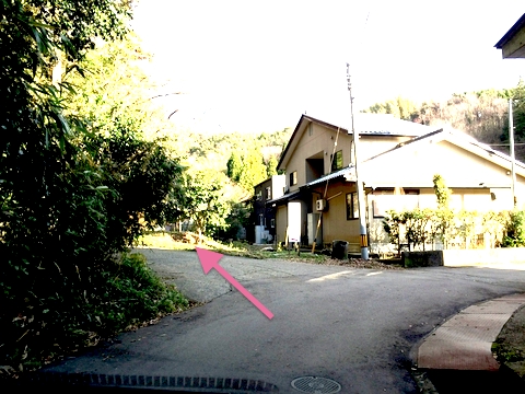 裏からは車でも登れる（かなり急坂）