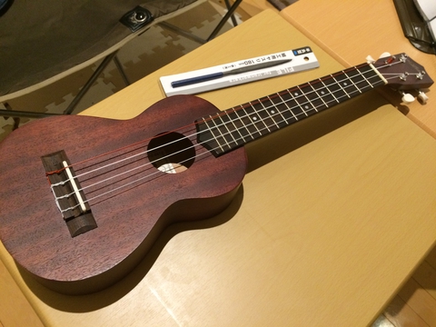 ARIA AU-1L