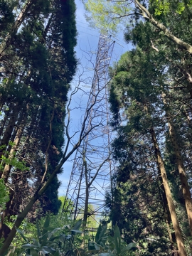 北陸幹線14番鉄塔
