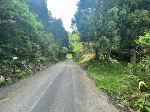 一旦車道に出る