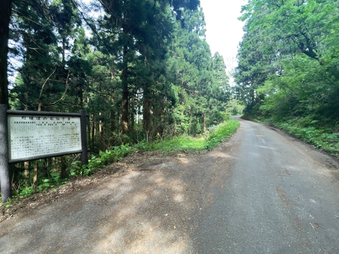 舗装路を下りる