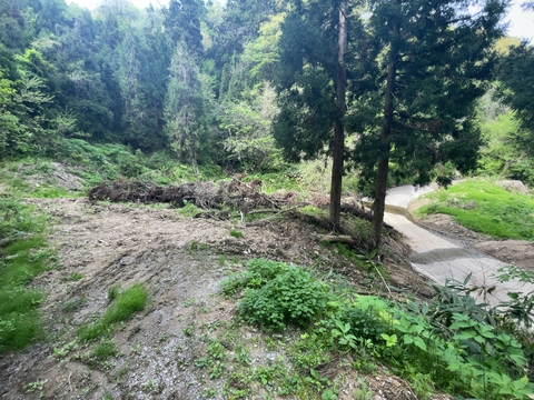 林道はハードな坂で舗装路に接続