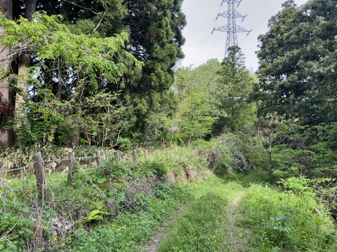 左手に登りの朴坂峠