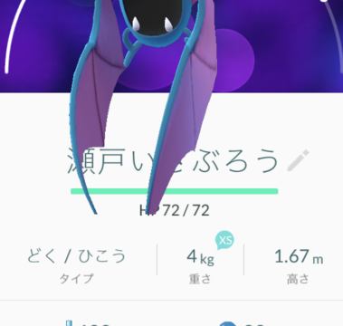 配置した場所の名前をポケモンにつけておくと便利