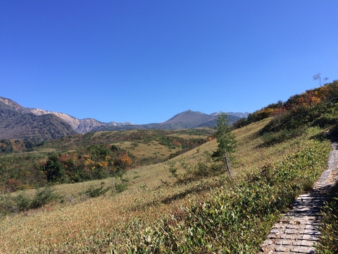 弥陀ヶ原