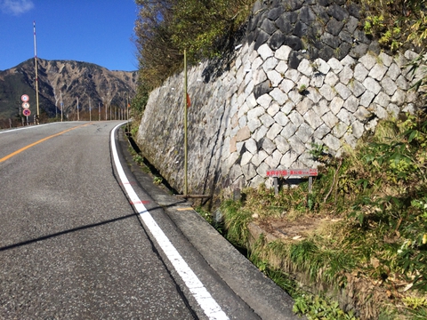 しばらく車道を歩きまた登山道へ