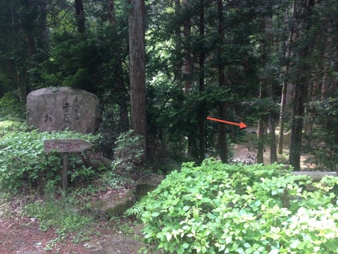 みたらし池へ