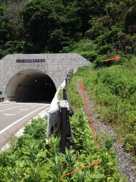 八世乃洞門トンネル横の登山口より