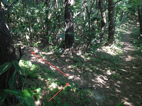 三角点案内版を左で山頂