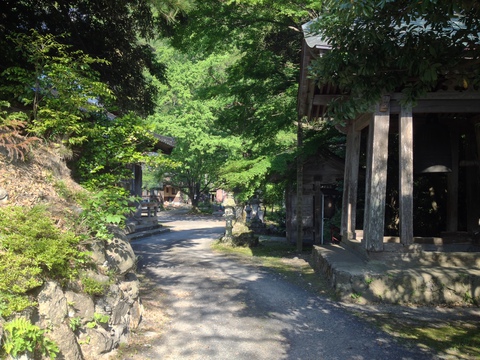 岩倉寺
