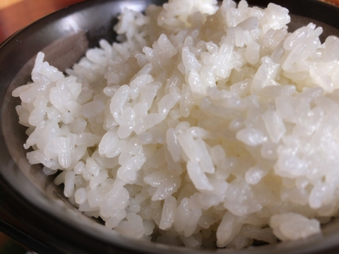 国産米ごはんはなんとおかわり自由