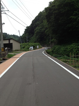 歩道が整備された卯辰山クライムロード
