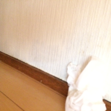 綺麗に除去できます
