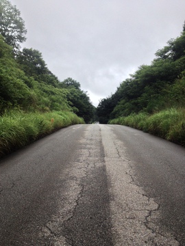道の駅から横道に
