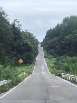 桜峠ジェットコースター坂
