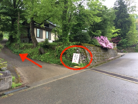 ついでに千本桜展望台へ