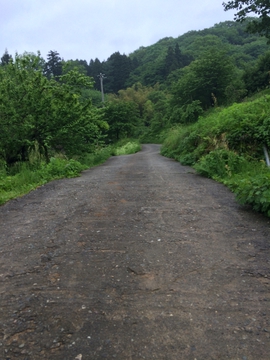 車幅ぎりぎりだが途中までは自動車で行ける