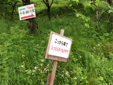 こっから車で入ったらだめなんやぞ