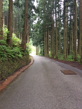 もしかして通り過ぎてない？？？
