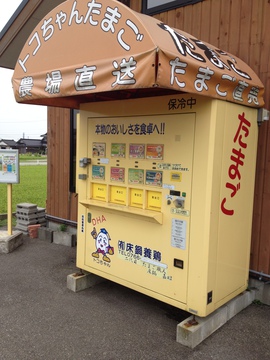 表には卵自販機もあり