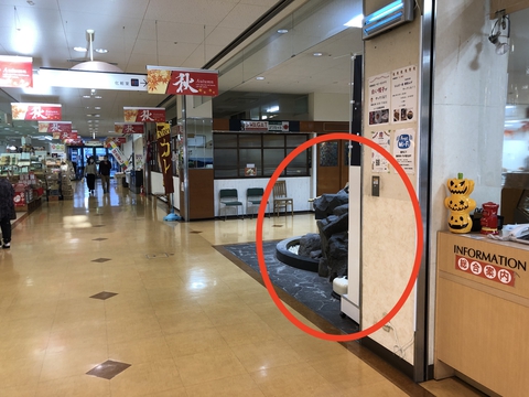 むこうに岩が見える！