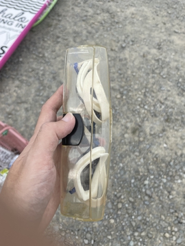 水中メガネを持って行ったら、それはいらないですとのこと笑